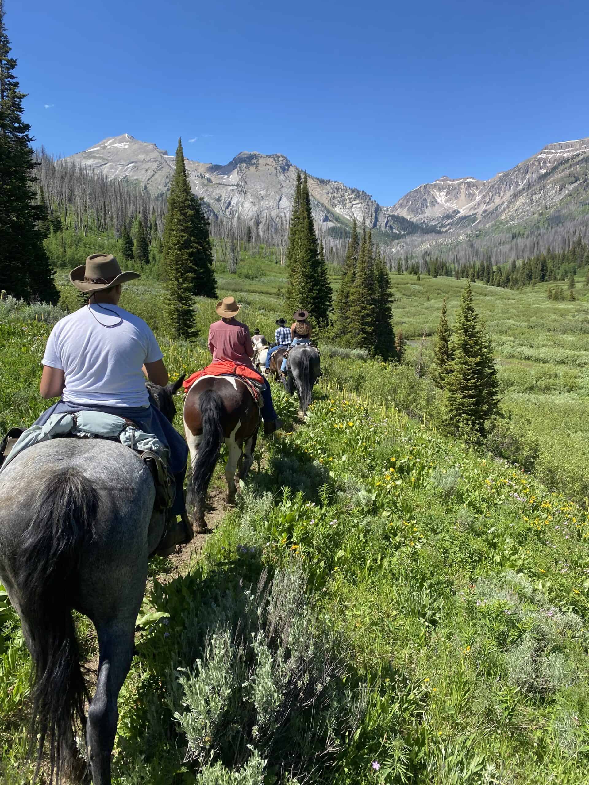 Horseback Riding Jackson Hole | Shoal Creek Outfitters